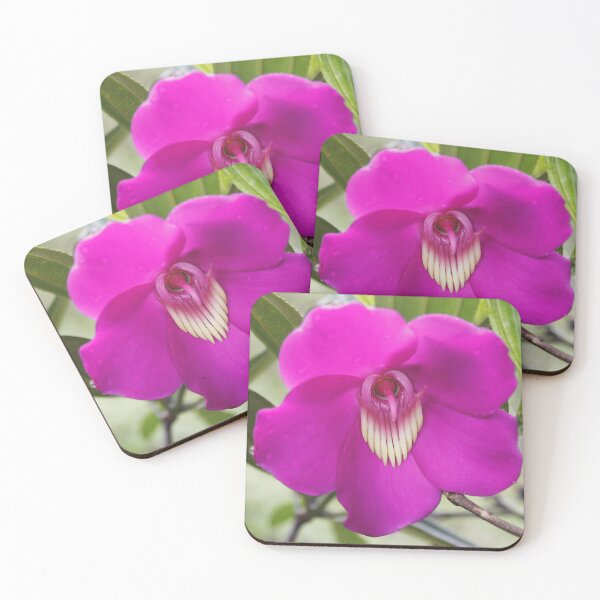Item preview, Meriania: Alchemy of Color designed and sold by JhonBotanicalAr.