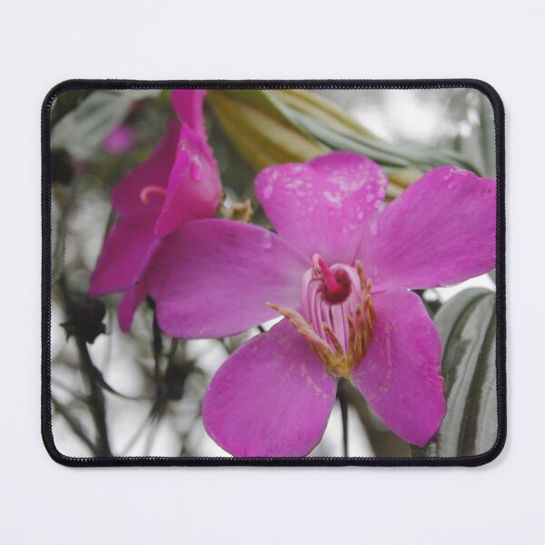 Item preview, Melastoma: Staminal Anatomy designed and sold by JhonBotanicalAr.