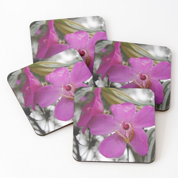 Item preview, Melastoma: Staminal Anatomy designed and sold by JhonBotanicalAr.