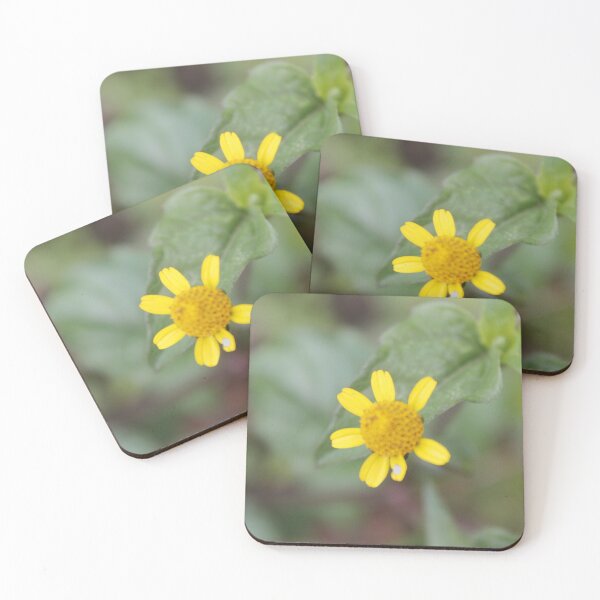 Item preview, Acmella: Floral Micro-architecture designed and sold by JhonBotanicalAr.