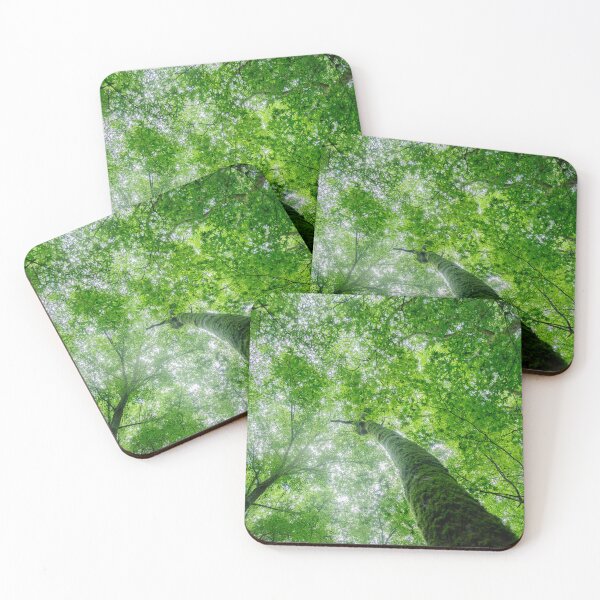 Item preview, Emerald Canopy – Looking Up Into the Forest Light designed and sold by clipboxjp.