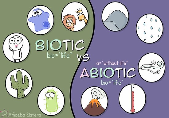 "Biotic Vs Abiotic Poster" Posters By Amoebasisters | Redbubble