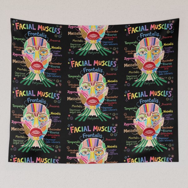 Item preview, Facial Muscles Frontails Anatomy Chart Funny Science Lover designed and sold by issan-exe.