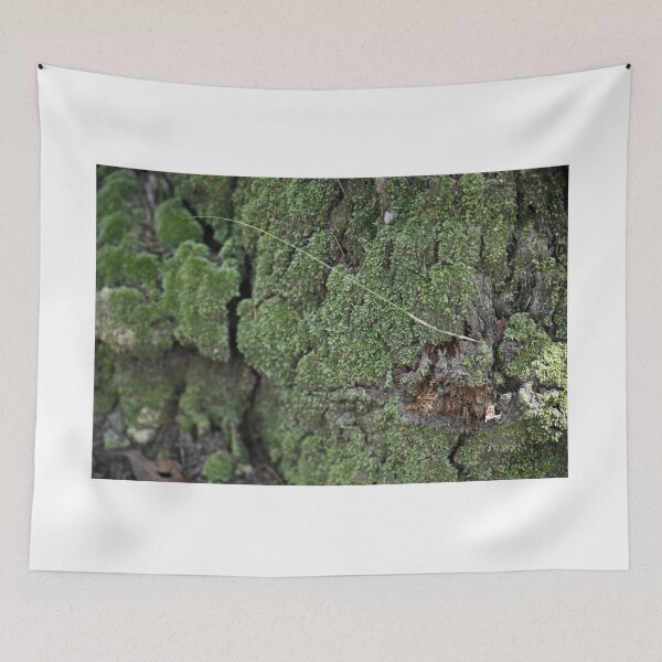 Item preview, Lush Green Moss on Tree Bark designed and sold by getmybookstore.