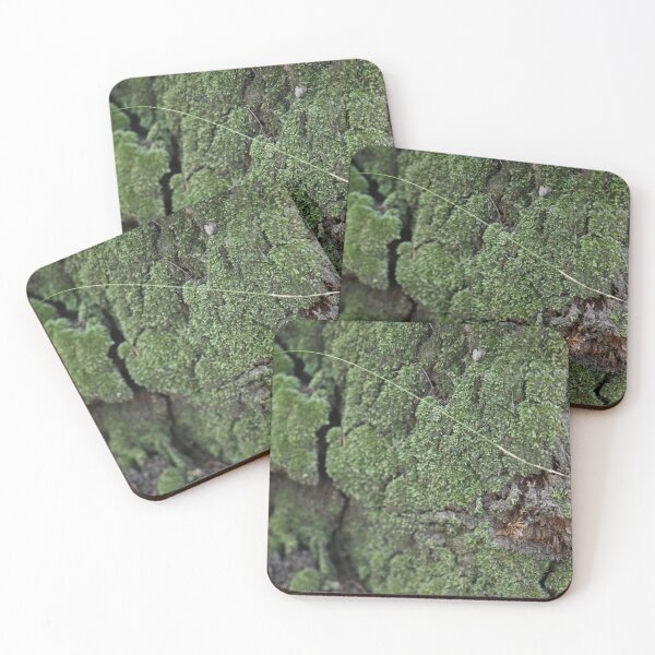 Item preview, Lush Green Moss on Tree Bark designed and sold by getmybookstore.