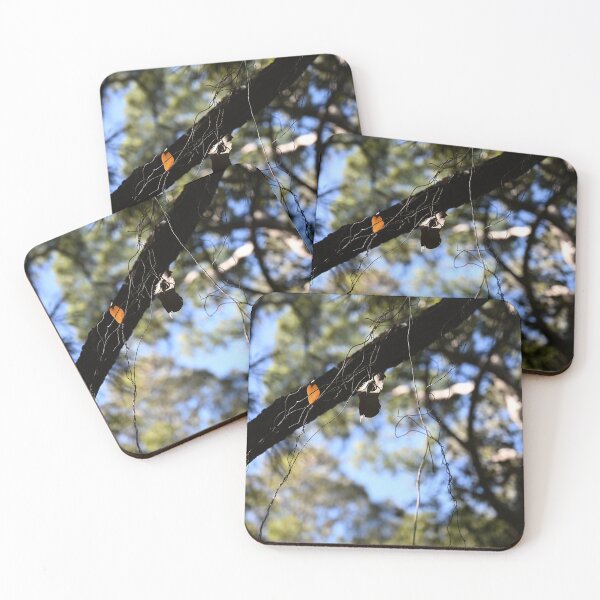 Item preview, Nature's Tranquil Scene with Leaves designed and sold by getmybookstore.