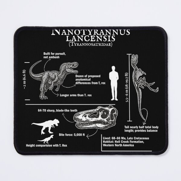 Item preview, Nanotyrannus lancensis: The Tyrannosaur We Mistook for a Teenage T-Rex designed and sold by OutcropSupply.