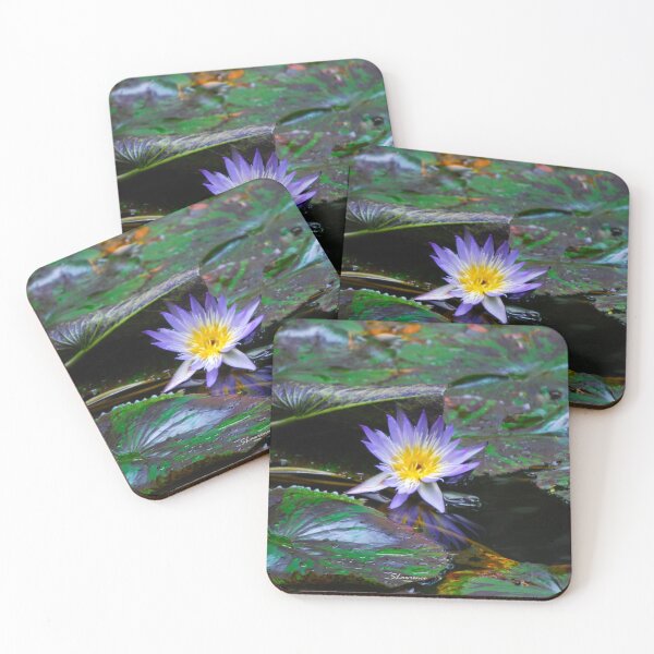 Item preview, Water Lily designed and sold by RocDrAdventures.