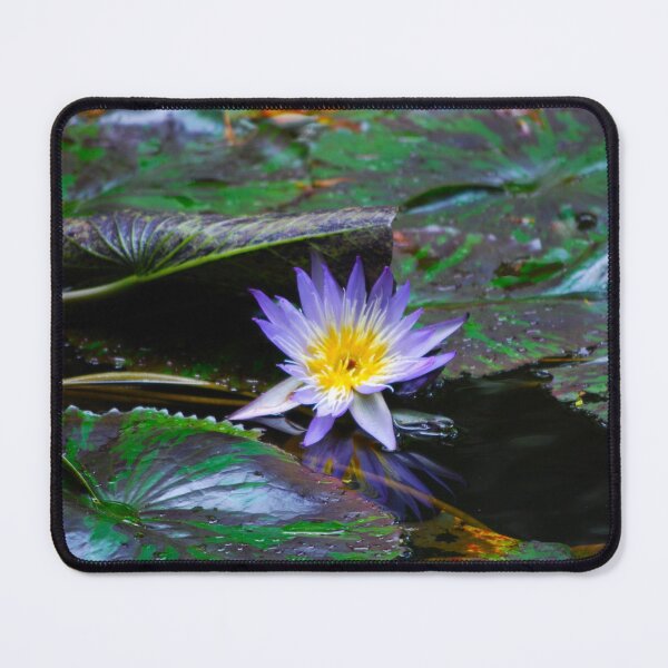 Item preview, Water Lily designed and sold by RocDrAdventures.