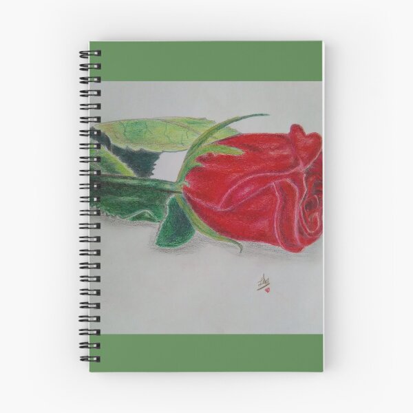 Item preview, Original Red rose colour pencil drawing using Faber castle  designed and sold by Heaven1111.