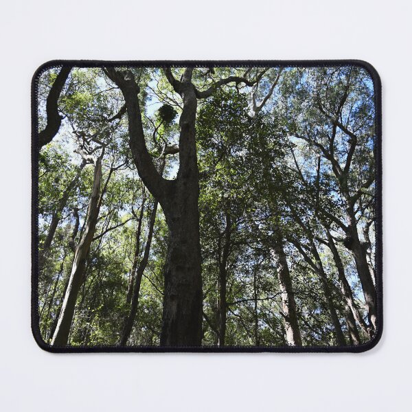 Item preview, Lush Forest Canopy Under Blue Sky designed and sold by getmybookstore.