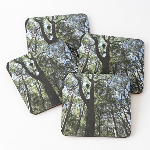 Item preview, Lush Forest Canopy Under Blue Sky designed and sold by getmybookstore.