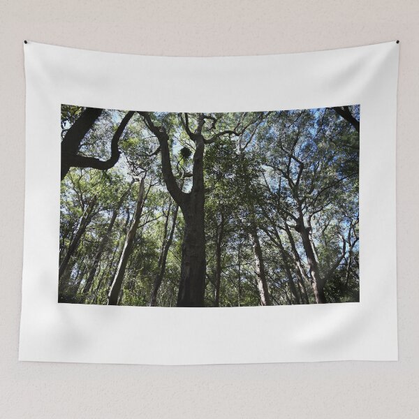 Item preview, Lush Forest Canopy Under Blue Sky designed and sold by getmybookstore.