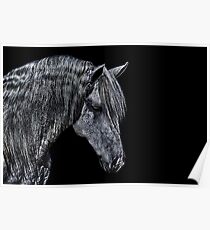 Portrait Of A Horse Fine Art Print Poster