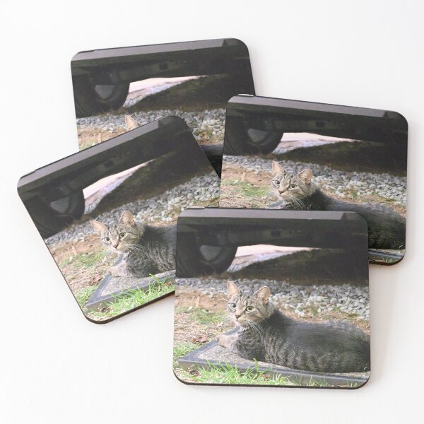 Item preview, Charming Striped Cat Relaxing Outdoors designed and sold by getmybookstore.