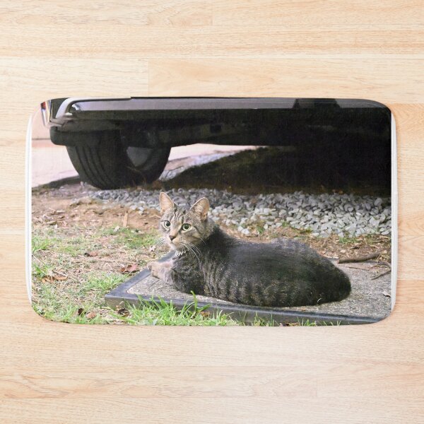 Item preview, Charming Striped Cat Relaxing Outdoors designed and sold by getmybookstore.
