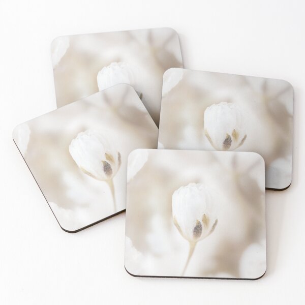 Item preview, beautiful gypsophila white flowers and single bud in the middle of frame with natural blur background macro designed and sold by TanalyFlowers.