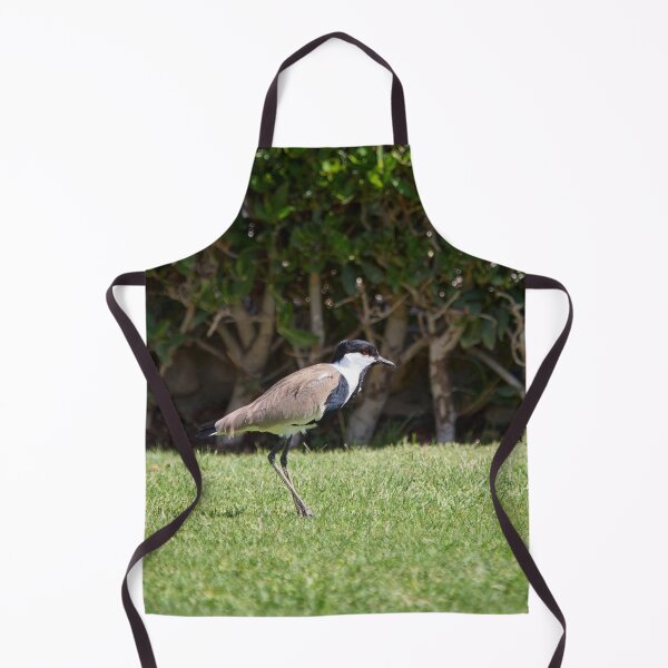 Item preview, On the green. Spur-winged lapwing. Hurghada 2026 designed and sold by Jouko Lehto Photography.