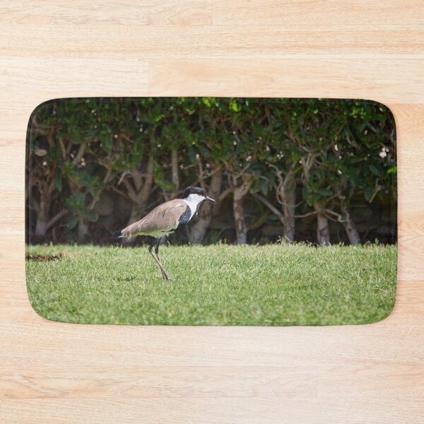 Item preview, On the green. Spur-winged lapwing. Hurghada 2026 designed and sold by Jouko Lehto Photography.