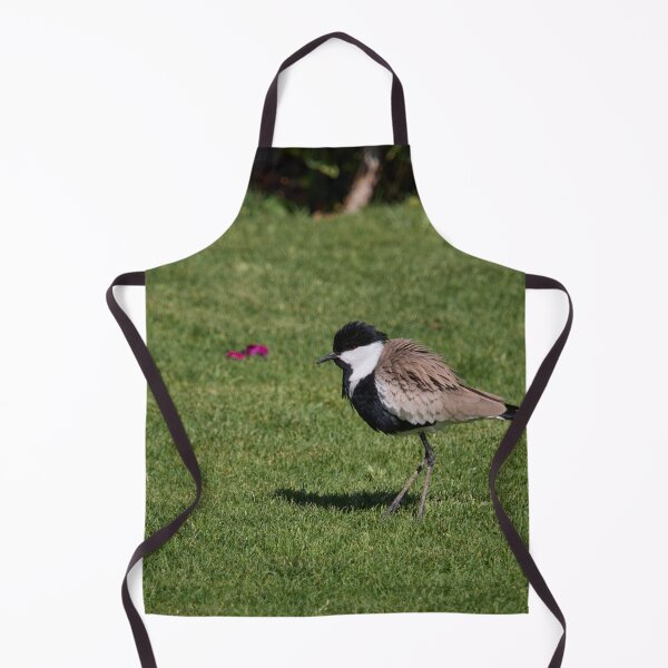 Item preview, Backwind. Spur-winged lapwing. Hurghada 2026 designed and sold by Jouko Lehto Photography.