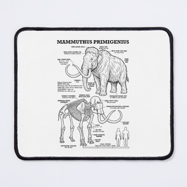 Item preview, Woolly Mammoth Mammuthus Primigenius Paleontology Diagram designed and sold by GrandeDuc.