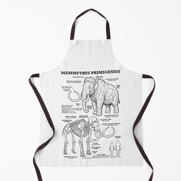 Item preview, Mamut lanudo (Mammuthus Primigenius) Diagrama paleontológico designed and sold by GrandeDuc.