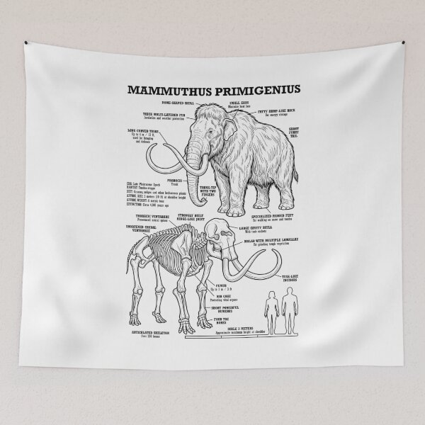 Item preview, Mamut lanudo (Mammuthus Primigenius) Diagrama paleontológico designed and sold by GrandeDuc.