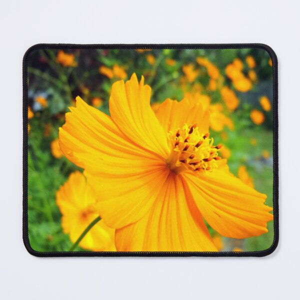 Item preview, Bright Orange Flowers in my Garden designed and sold by jaynerushton.
