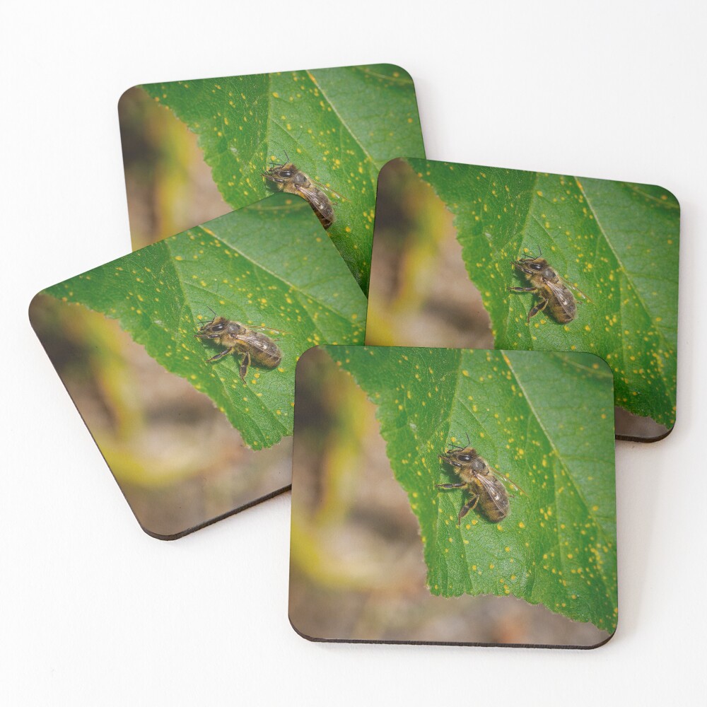 Item preview, Coasters (Set of 4) designed and sold by RalphGoldsmith.