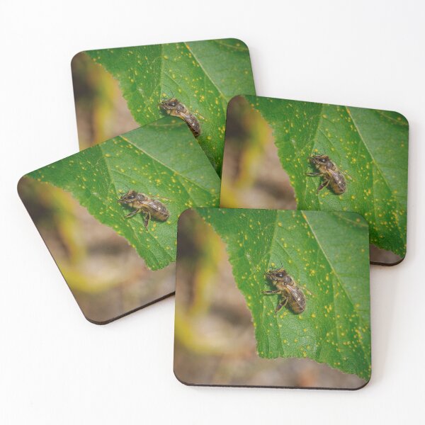 Item preview, I Bee Leaf designed and sold by Ralph Goldsmith.