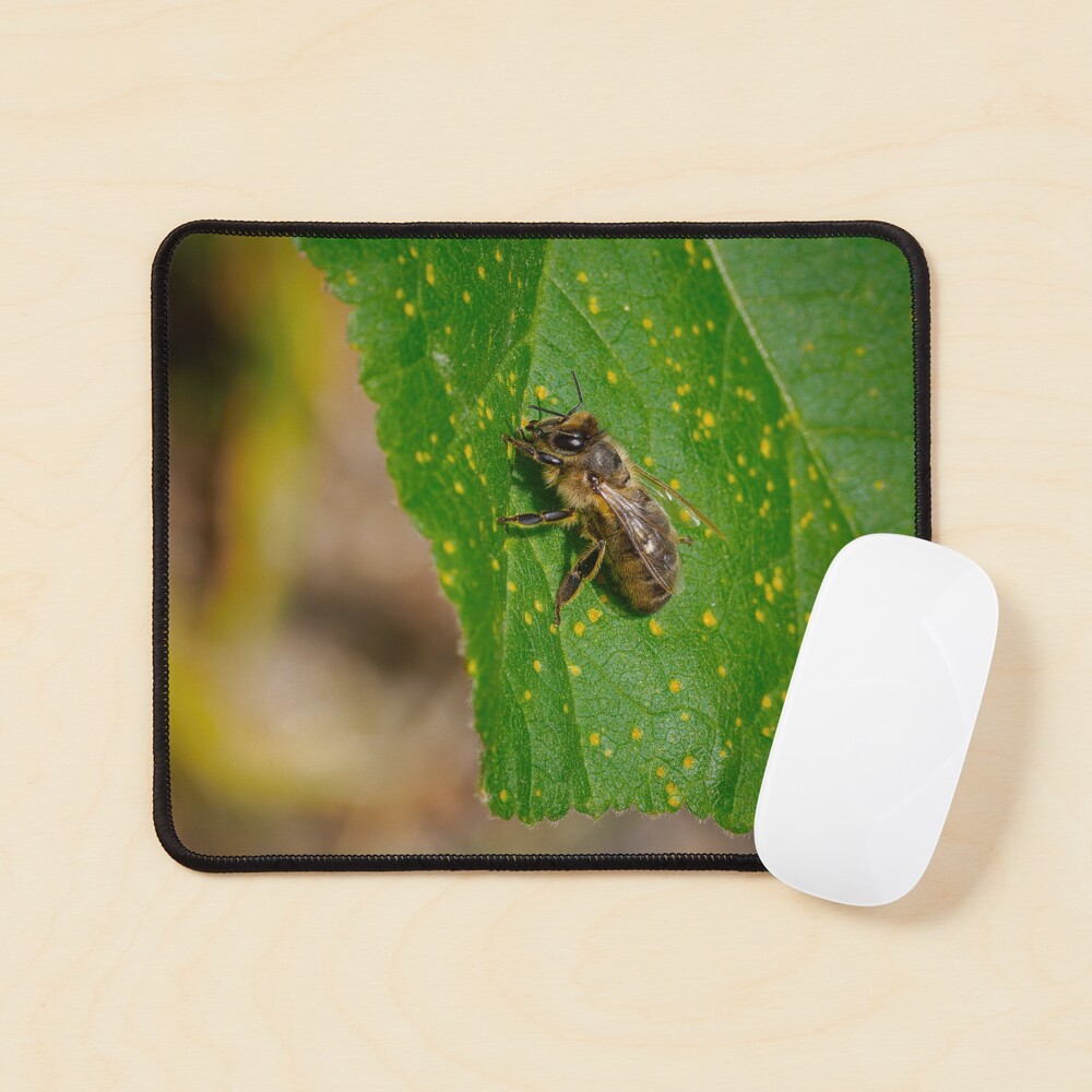 Item preview, Mouse Pad designed and sold by RalphGoldsmith.