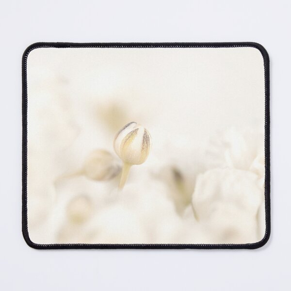 Item preview, Beautiful blooming white gypsophila flowers bud with light background and place for text macro designed and sold by TanalyFlowers.