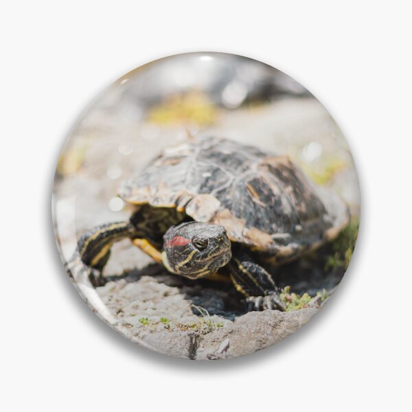 Item preview, Pond Patrol - Detailed Red-Eared Slider Turtle designed and sold by alicjamiekina.