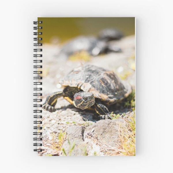 Item preview, Pond Patrol - Detailed Red-Eared Slider Turtle designed and sold by alicjamiekina.