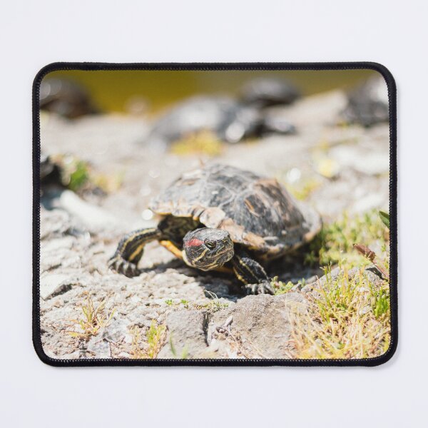 Item preview, Pond Patrol - Detailed Red-Eared Slider Turtle designed and sold by alicjamiekina.
