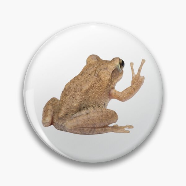 Item preview, Coqui Frog designed and sold by Aesthetic Crew.