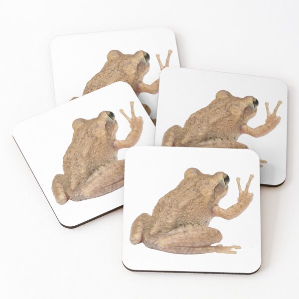 Item preview, Coqui Frog designed and sold by Aesthetic Crew.
