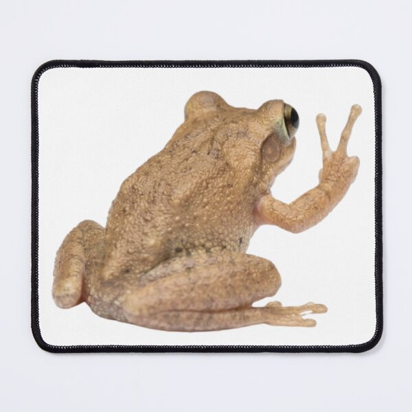 Item preview, Coqui Frog designed and sold by Aesthetic Crew.