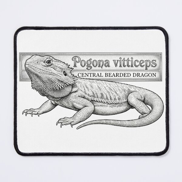 Item preview, Central Bearded Dragon (Pogona vitticeps) designed and sold by My-Thing.