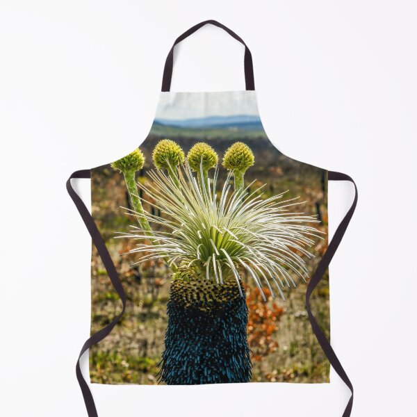 Item preview, Kingia Australis, Waychinicup National Park, Cheynes, Western Australia - Rebirth After The Fire designed and sold by Ross.A.Campbell.