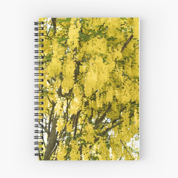 Item preview, Blossoming Yellow Laburnum Golden Rain Tree designed and sold by Georgia Mizuleva.