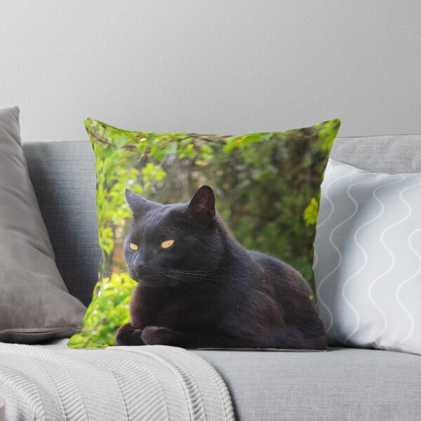 Item preview, Black Cat with Golden Eyes in Sunlit Forest designed and sold by MB-CatPrints.