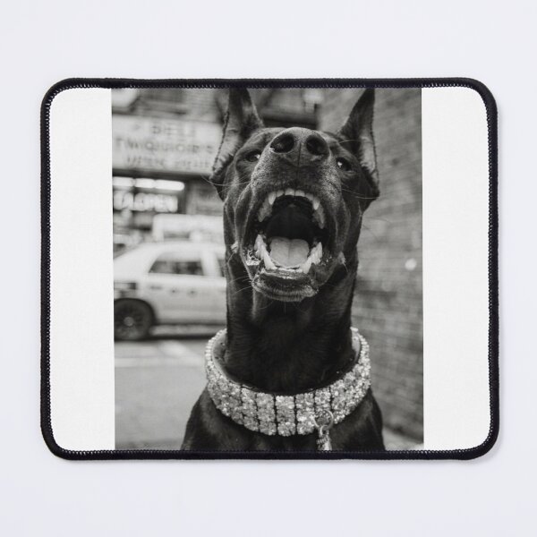 Item preview, Doberman with Diamond Collar — Black and White Hip Hop Dog Street Photography designed and sold by Vnouk.