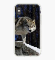 Arctic Wolf on Rock Cliff iPhone Case
