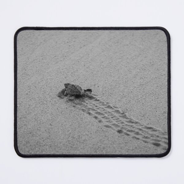 Item preview, Baby Sea Turtle Hatchling Black and White Beach Wildlife Photography designed and sold by WildFrameNature.