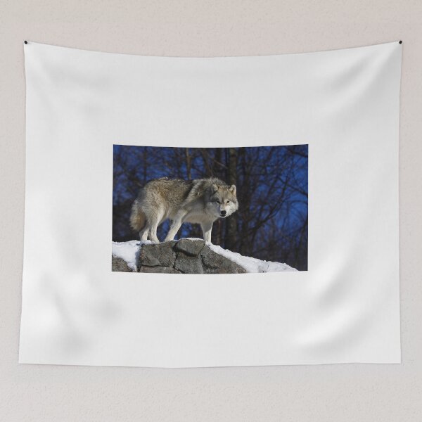Item preview, Arctic Wolf on Rock Cliff designed and sold by James Cumming.