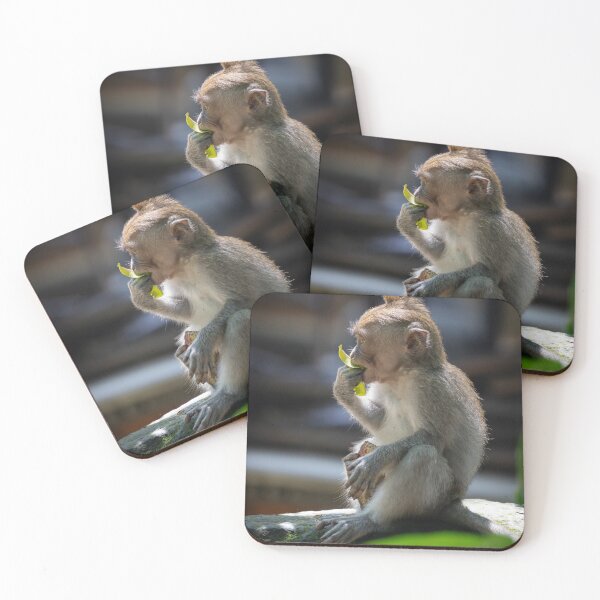 Item preview, Bali Macaque Monkey Eating Leaf Temple Wildlife Photography designed and sold by WildFrameNature.