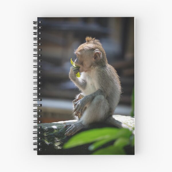 Item preview, Bali Macaque Monkey Eating Leaf Temple Wildlife Photography designed and sold by WildFrameNature.