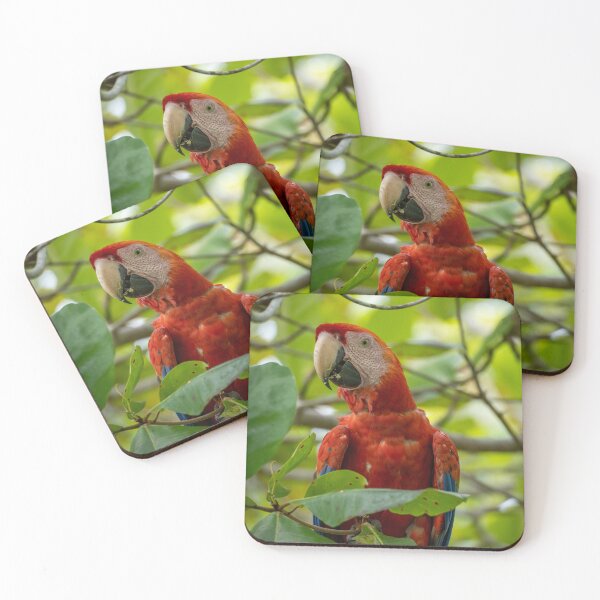 Item preview, Scarlet Macaw Costa Rica Tropical Bird Wildlife Photography Rainforest designed and sold by WildFrameNature.