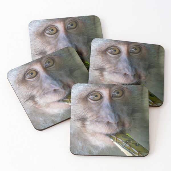 Item preview, Macaque Monkey Close Up Portrait Intense Eyes Wildlife Photography Bali designed and sold by WildFrameNature.